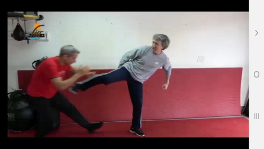 اسکرین شات 10 برنامه تمرینات ضربات پا در ورزش های رزمی