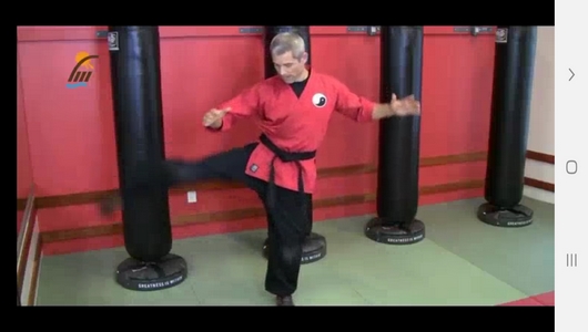 اسکرین شات 6 برنامه تمرینات ضربات پا در ورزش های رزمی