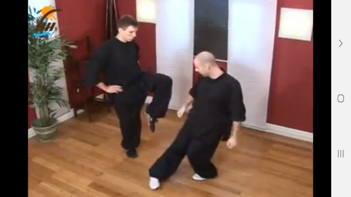 اسکرین شات 8 برنامه آموزش فرم ها و تکنیک های کونگ فو