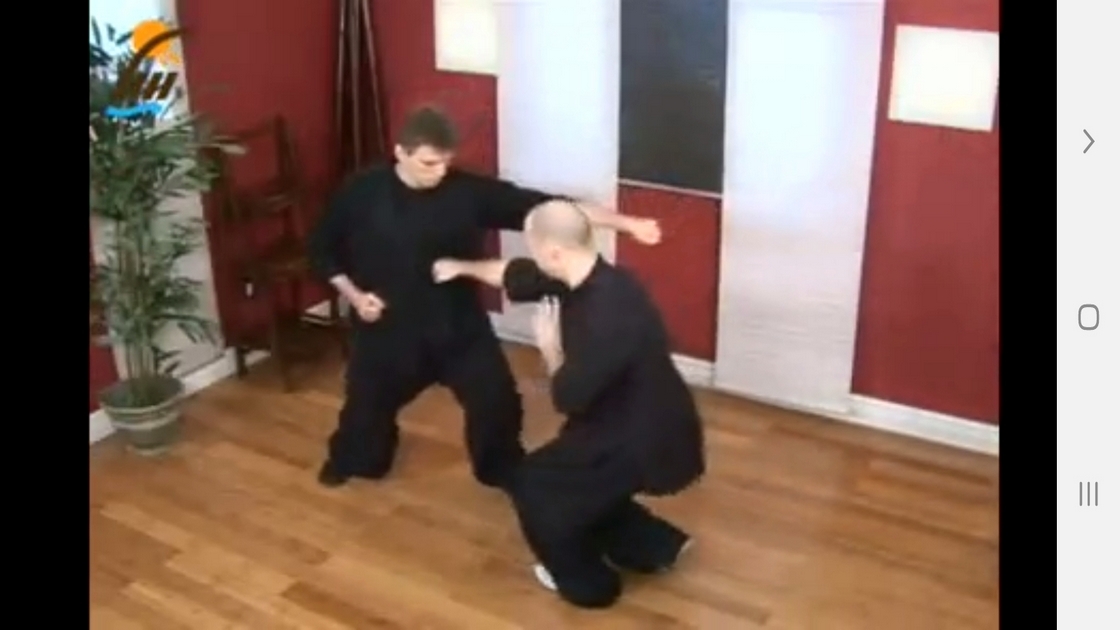 اسکرین شات 5 برنامه آموزش فرم ها و تکنیک های کونگ فو