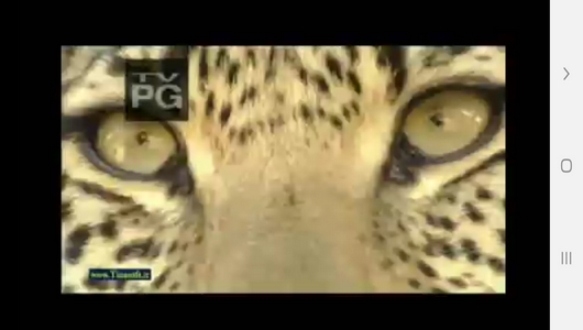 اسکرین شات 9 برنامه دنیای شیرها و پلنگ ها