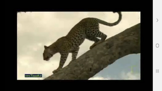 اسکرین شات 5 برنامه دنیای شیرها و پلنگ ها