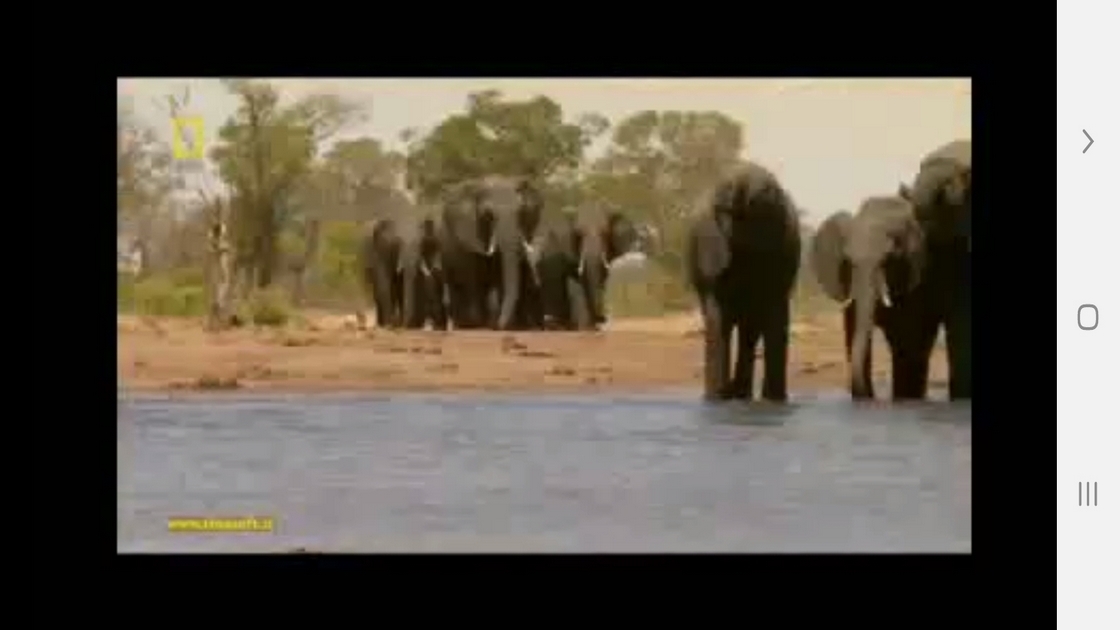 اسکرین شات 4 برنامه دانستنی هایی از دنیای شیرها