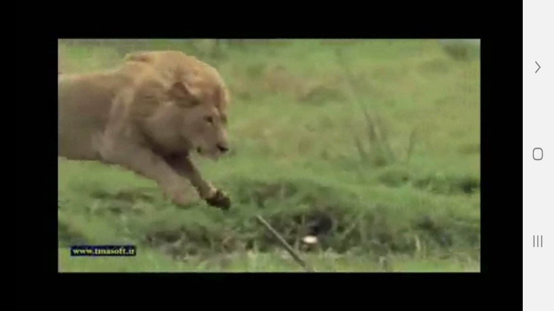 اسکرین شات 5 برنامه دانستنی هایی از دنیای شیرها