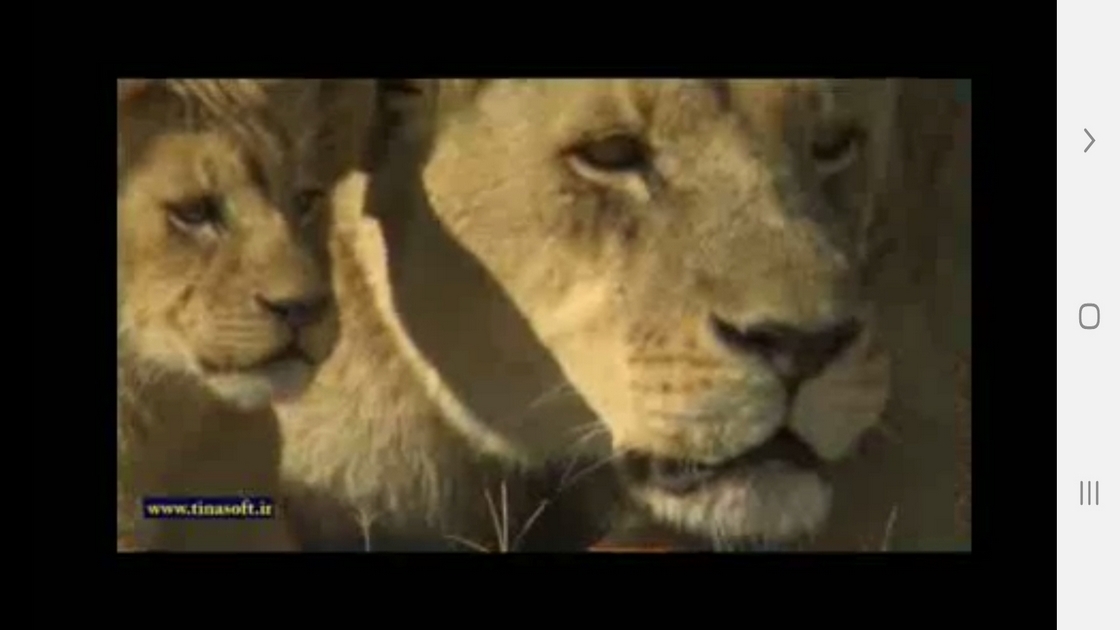 اسکرین شات 6 برنامه دانستنی هایی از دنیای شیرها