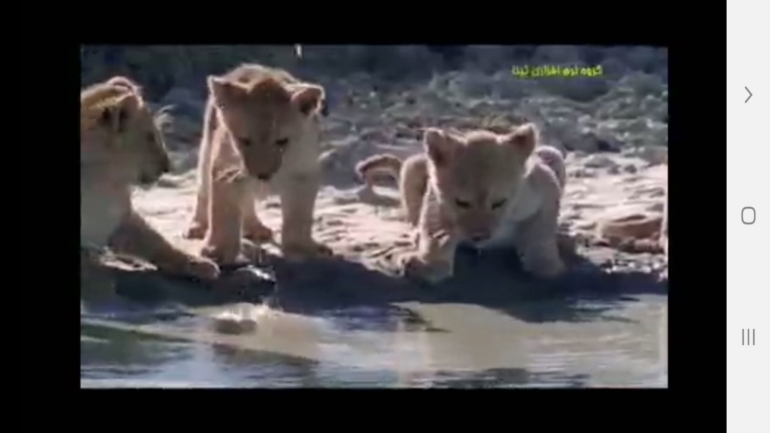 اسکرین شات 9 برنامه دانستنی هایی از دنیای شیرها