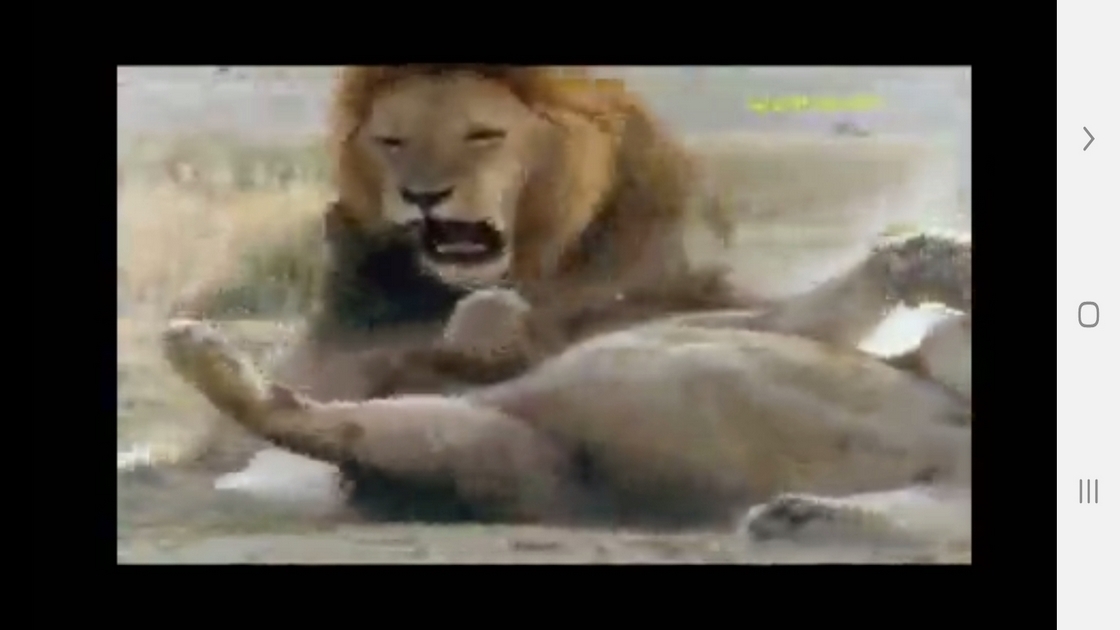 اسکرین شات 7 برنامه دانستنی هایی از دنیای شیرها