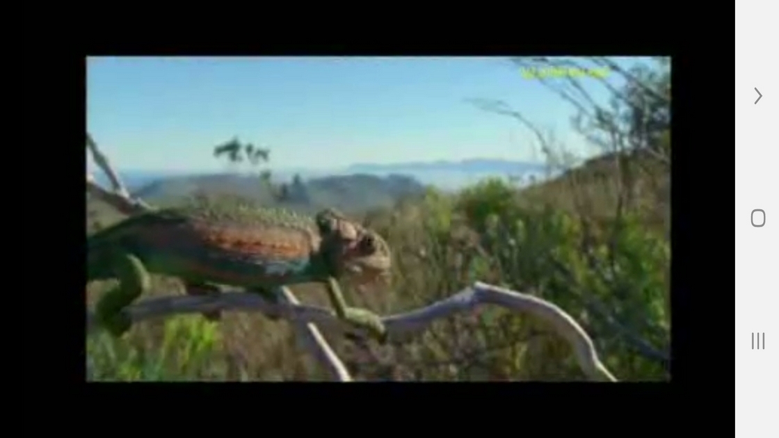 اسکرین شات 8 برنامه دانستنیهایی از سوسمارها ومارمولک ها