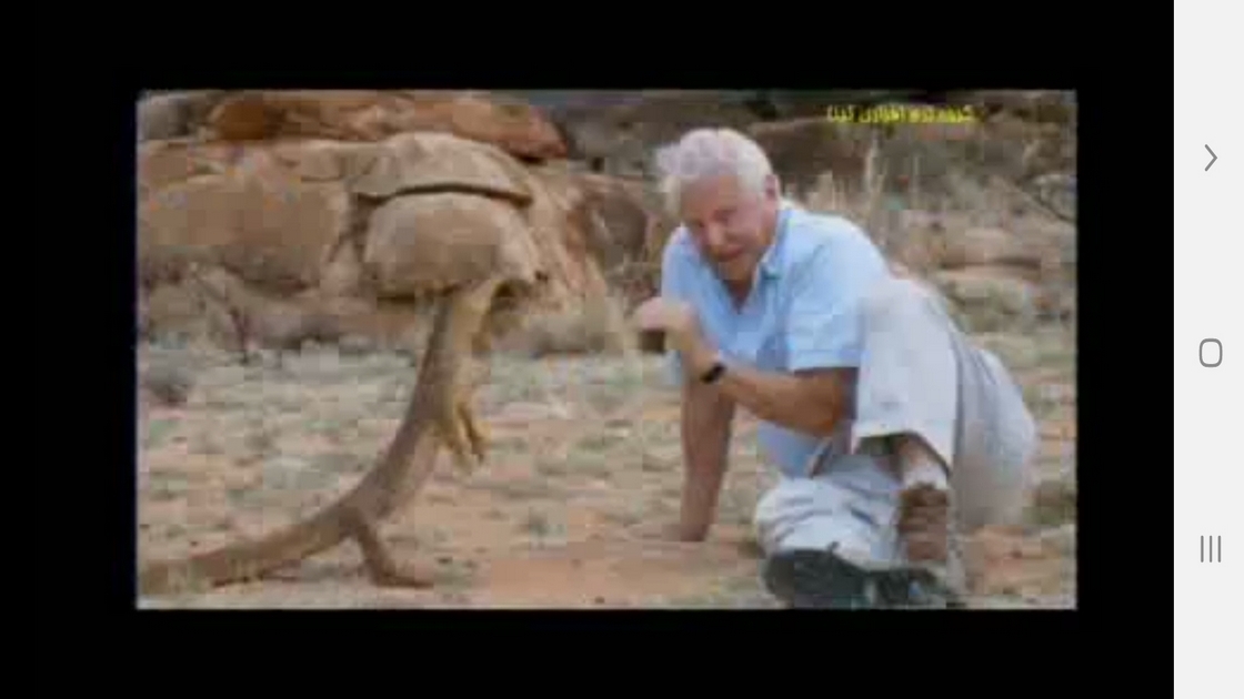 اسکرین شات 10 برنامه دانستنیهایی از سوسمارها ومارمولک ها