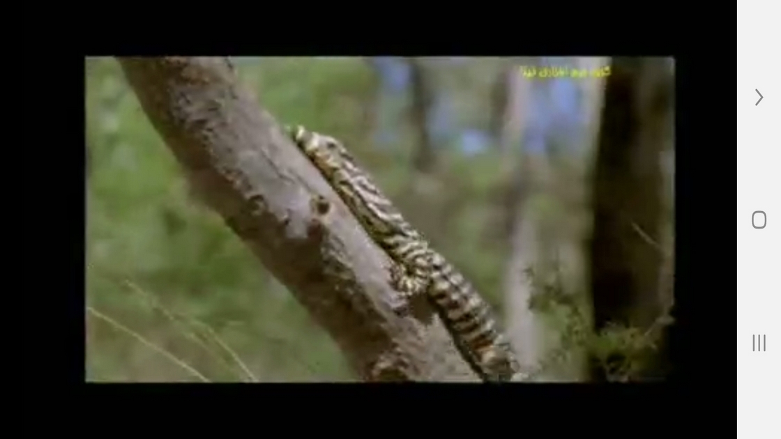 اسکرین شات 6 برنامه دانستنیهایی از سوسمارها ومارمولک ها