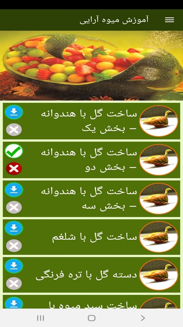 اسکرین شات 11 برنامه آموزش میوه آرایی