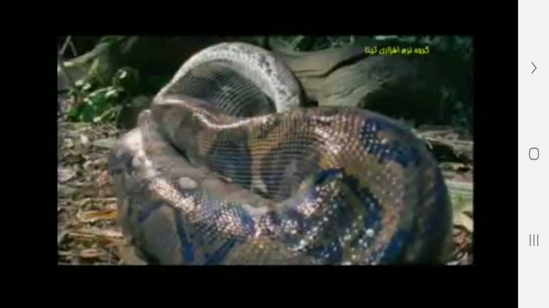 اسکرین شات 10 برنامه دانستنی هایی از موجودات خونسرد