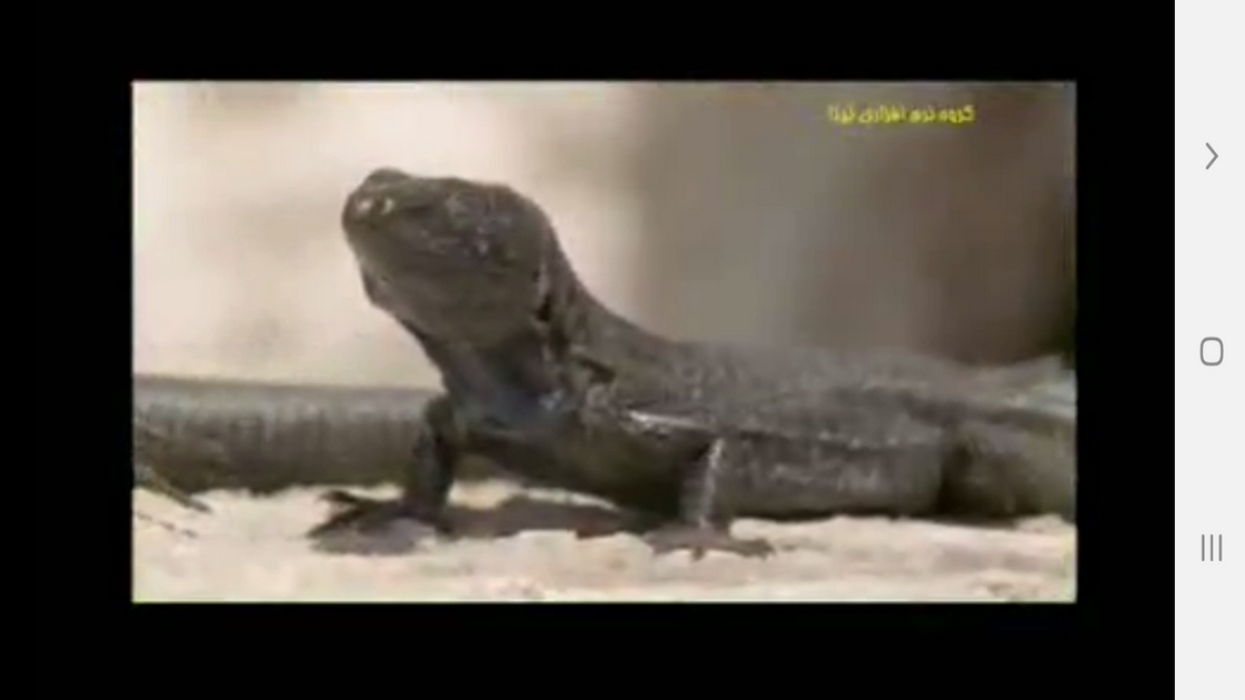 اسکرین شات 5 برنامه دانستنی هایی از موجودات خونسرد