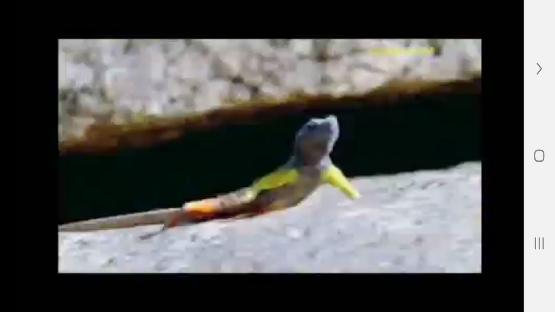 اسکرین شات 4 برنامه دانستنی هایی از موجودات خونسرد