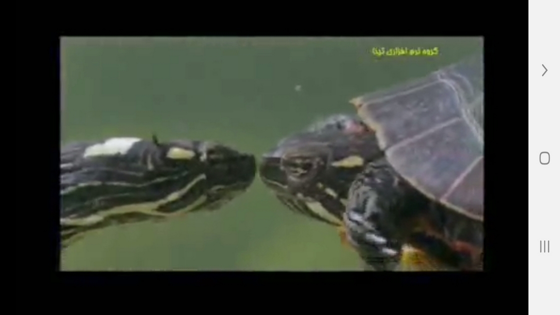 اسکرین شات 6 برنامه دانستنی هایی از موجودات خونسرد