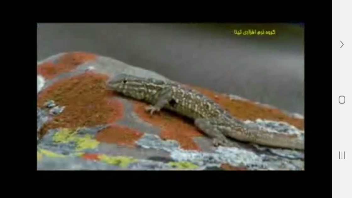 اسکرین شات 7 برنامه دانستنی هایی از موجودات خونسرد