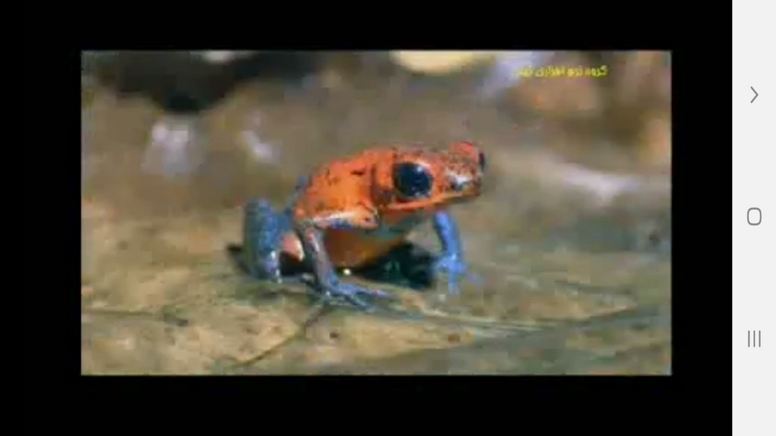 اسکرین شات 8 برنامه دانستنی هایی از موجودات خونسرد