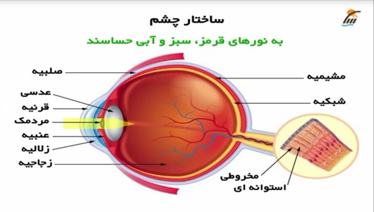 اسکرین شات برنامه آموزش علوم پنجم دبستان 10