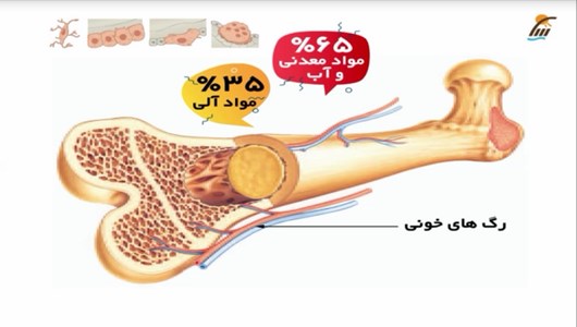 اسکرین شات برنامه آموزش علوم پنجم دبستان 8