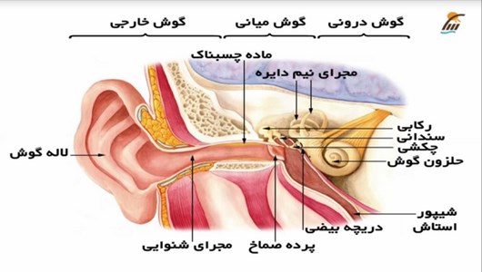 اسکرین شات برنامه آموزش علوم پنجم دبستان 3