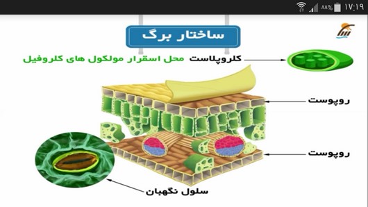 اسکرین شات 10 برنامه آموزش علوم پایه پنجم دبستان