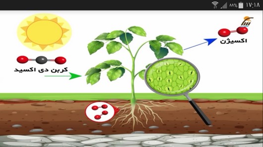 اسکرین شات 9 برنامه آموزش علوم پایه پنجم دبستان