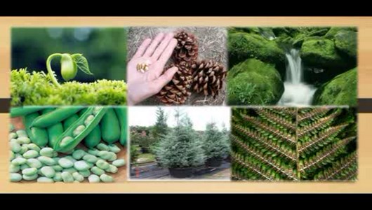 اسکرین شات 8 برنامه آموزش علوم چهارم دبستان
