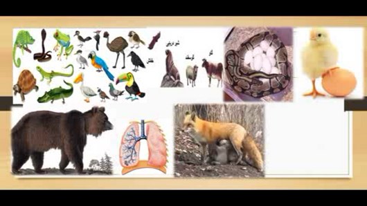 اسکرین شات 9 برنامه آموزش علوم سوم دبستان