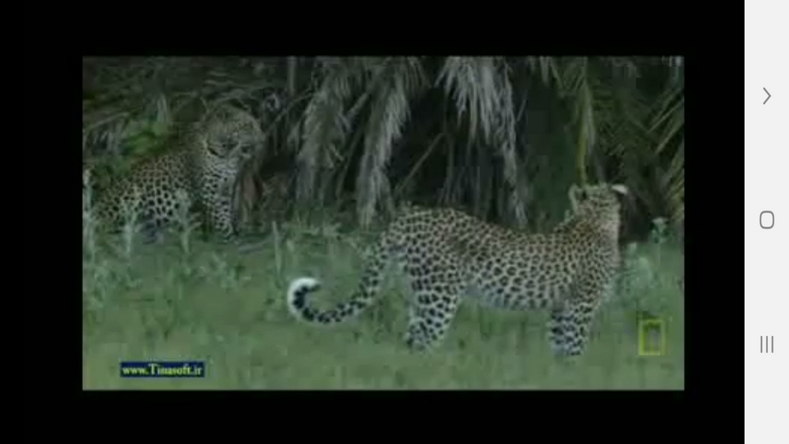 اسکرین شات 5 برنامه دانستنی هایی از دنیای پلنگ ها