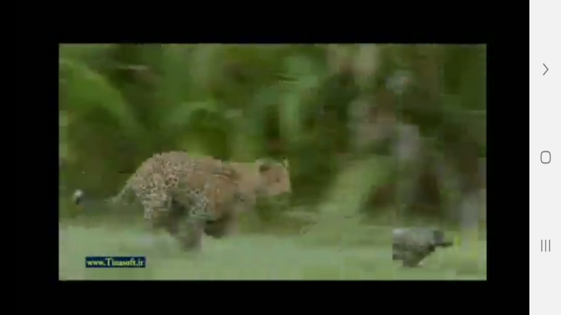 اسکرین شات 3 برنامه دانستنی هایی از دنیای پلنگ ها