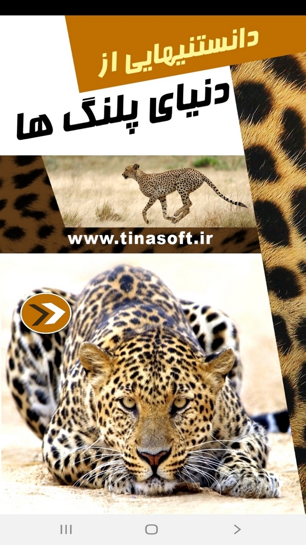 اسکرین شات 1 برنامه دانستنی هایی از دنیای پلنگ ها