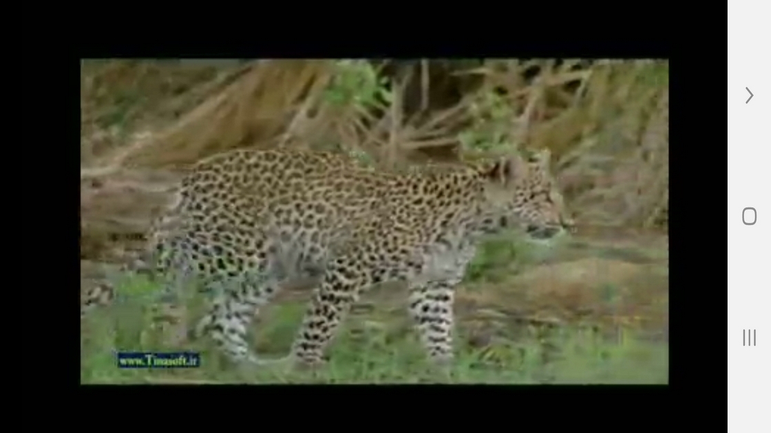 اسکرین شات 8 برنامه دانستنی هایی از دنیای پلنگ ها