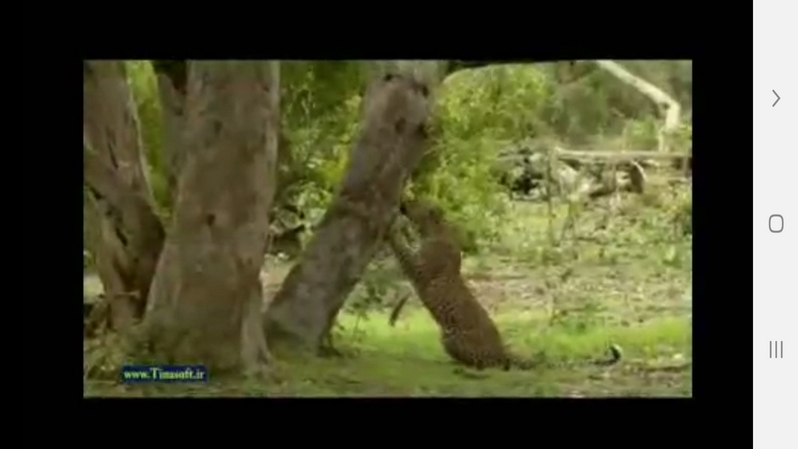 اسکرین شات 9 برنامه دانستنی هایی از دنیای پلنگ ها