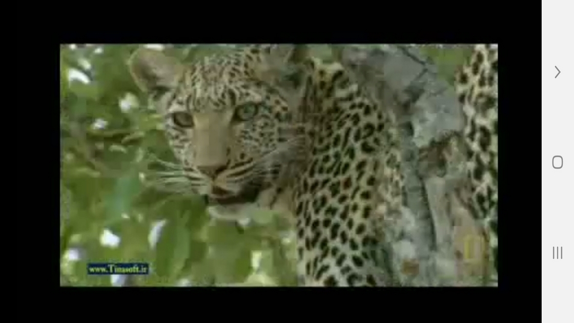 اسکرین شات 10 برنامه دانستنی هایی از دنیای پلنگ ها