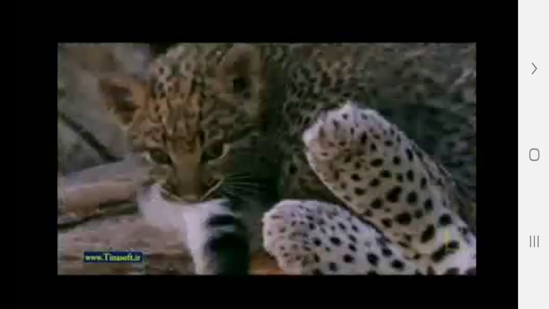 اسکرین شات 4 برنامه دانستنی هایی از دنیای پلنگ ها