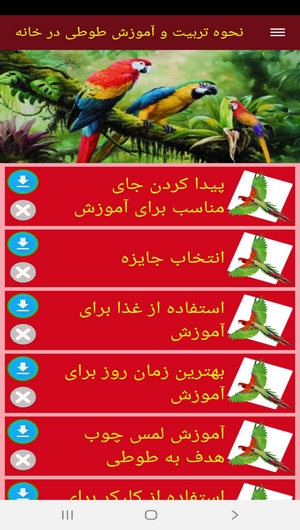 اسکرین شات 4 برنامه نحوه تربیت و آموزش طوطی در خانه