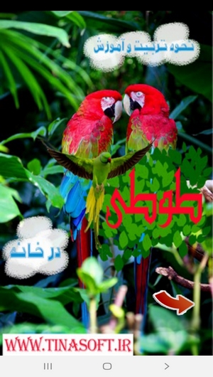 اسکرین شات 1 برنامه نحوه تربیت و آموزش طوطی در خانه