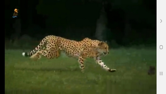 اسکرین شات 8 برنامه دانستنی های علمی از حیوانات