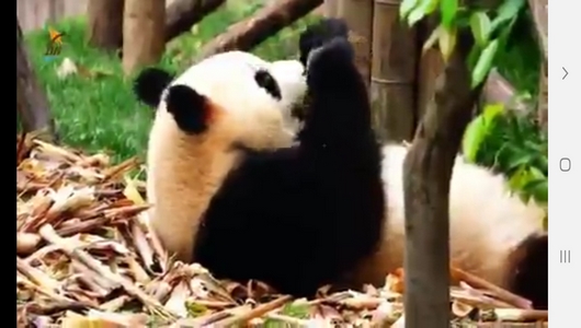 اسکرین شات 2 برنامه دانستنی های علمی از حیوانات