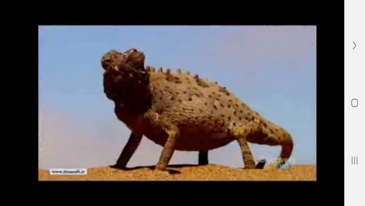 اسکرین شات 3 برنامه مارها ، سوسمارها و مارمولک ها