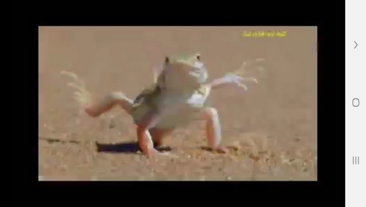 اسکرین شات 5 برنامه مارها ، سوسمارها و مارمولک ها