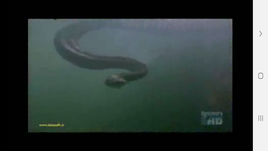 اسکرین شات 4 برنامه دانستنی هایی از دنیای مارها