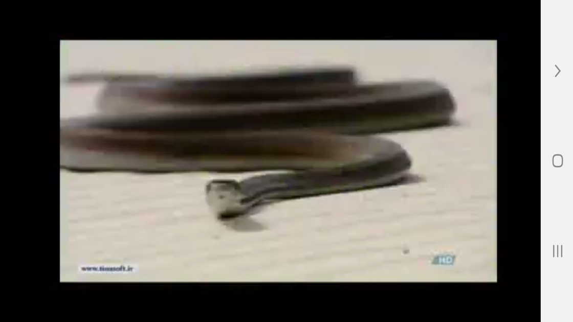 اسکرین شات 3 برنامه دانستنی هایی از دنیای مارها