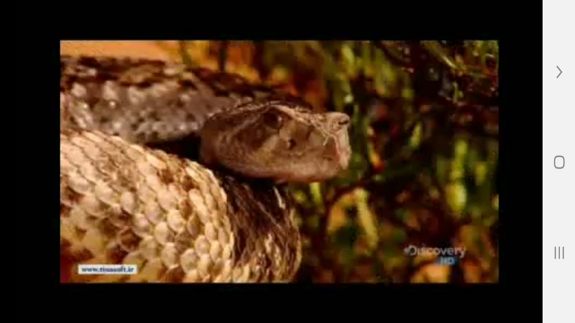 اسکرین شات 10 برنامه دانستنی هایی از دنیای مارها