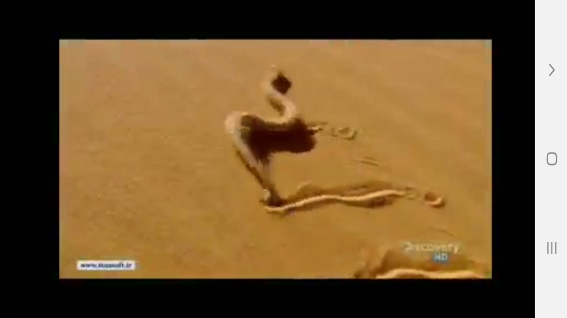 اسکرین شات 6 برنامه دانستنی هایی از دنیای مارها