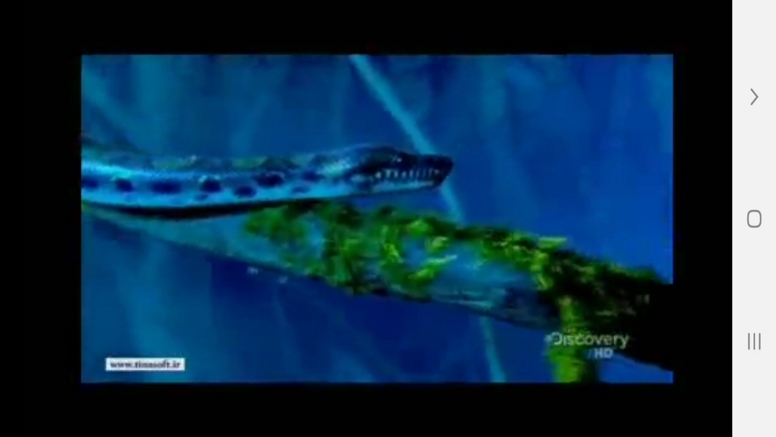 اسکرین شات 8 برنامه دانستنی هایی از دنیای مارها