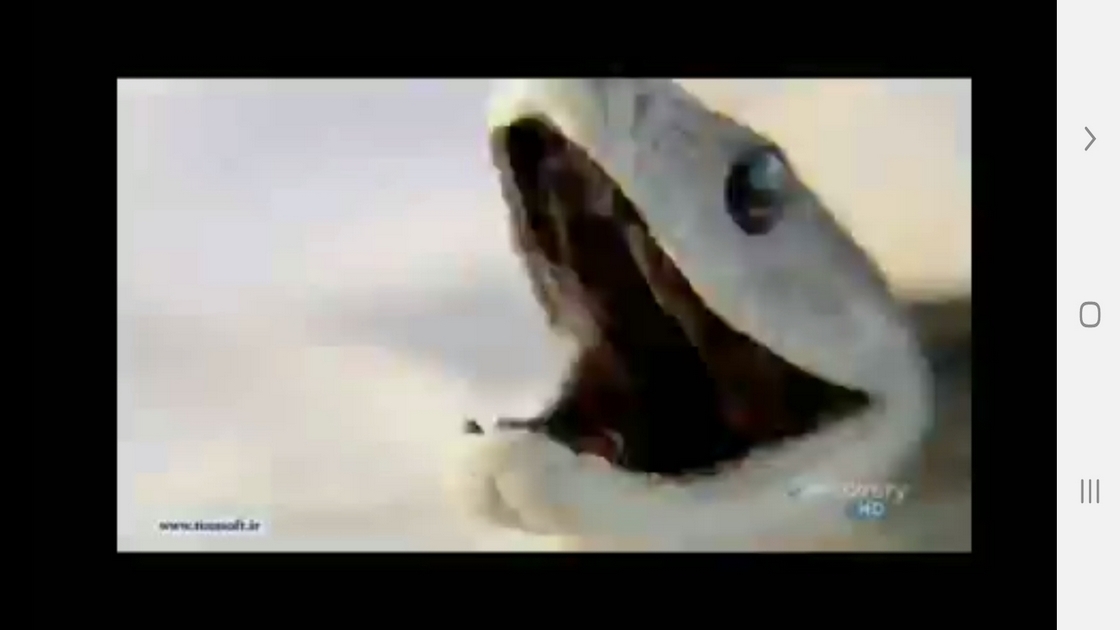 اسکرین شات 2 برنامه دانستنی هایی از دنیای مارها