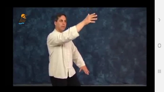 اسکرین شات 8 برنامه یادگیری تای چی چوان در منزل