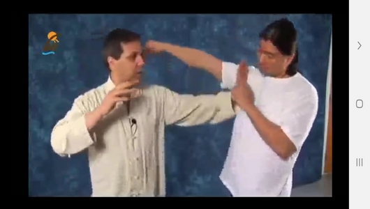 اسکرین شات 6 برنامه یادگیری تای چی چوان در منزل