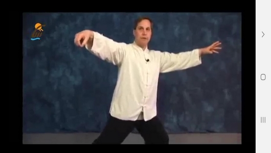 اسکرین شات 10 برنامه یادگیری تای چی چوان در منزل